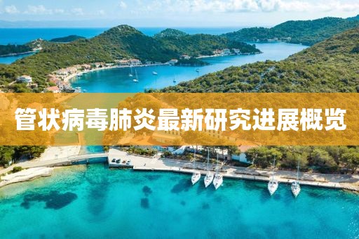 管状病毒肺炎最新研究进展概览