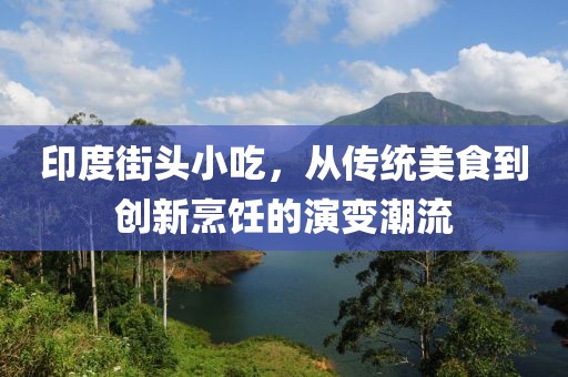 印度街头小吃，从传统美食到创新烹饪的演变潮流