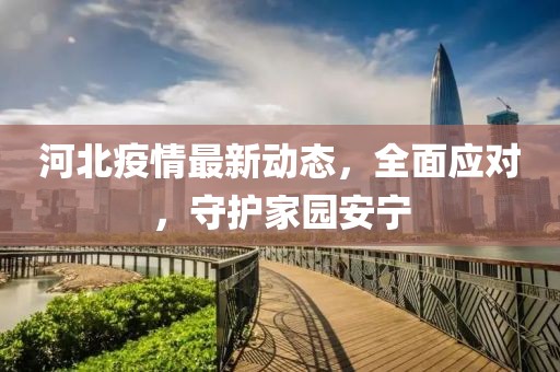 河北疫情最新动态，全面应对，守护家园安宁