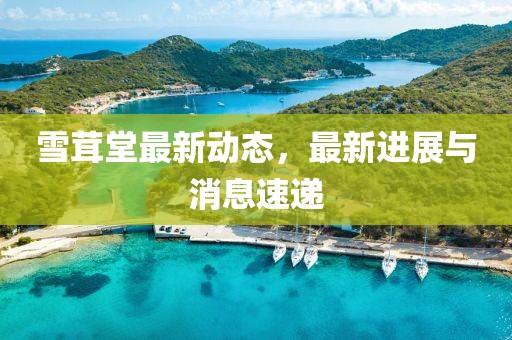 雪茸堂最新动态，最新进展与消息速递