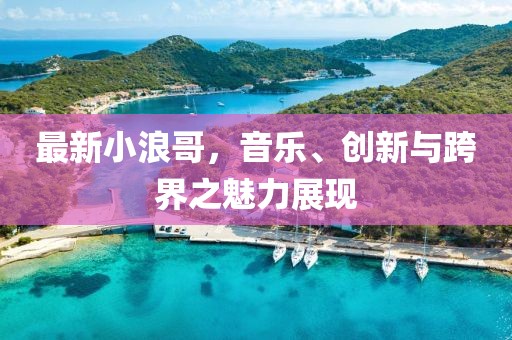 最新小浪哥，音乐、创新与跨界之魅力展现