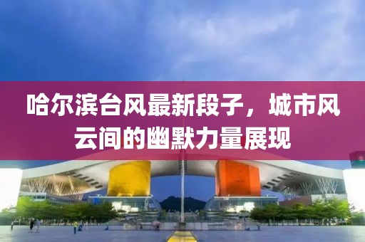 哈尔滨台风最新段子，城市风云间的幽默力量展现