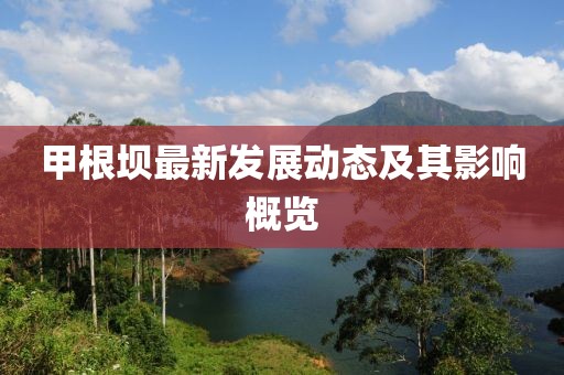 甲根坝最新发展动态及其影响概览