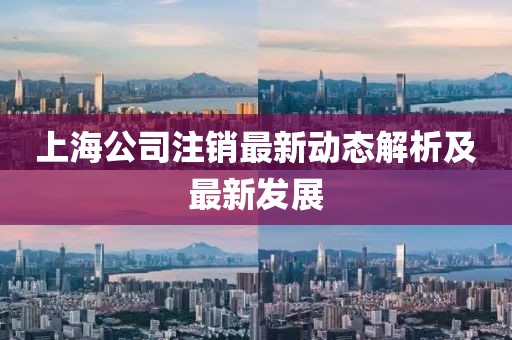 上海公司注销最新动态解析及最新发展