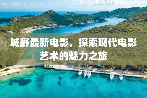 城野最新电影，探索现代电影艺术的魅力之旅