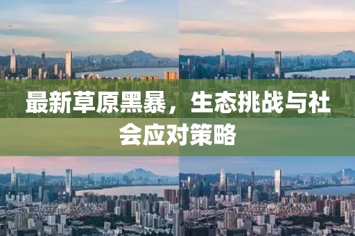 最新草原黑暴，生态挑战与社会应对策略