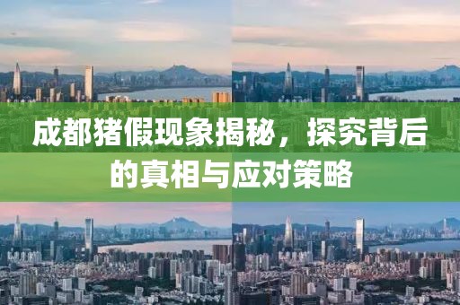 成都猪假现象揭秘，探究背后的真相与应对策略