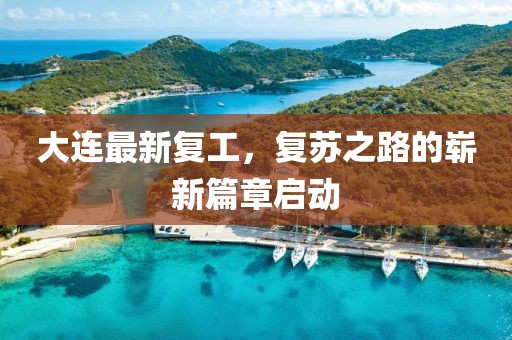 大连最新复工，复苏之路的崭新篇章启动