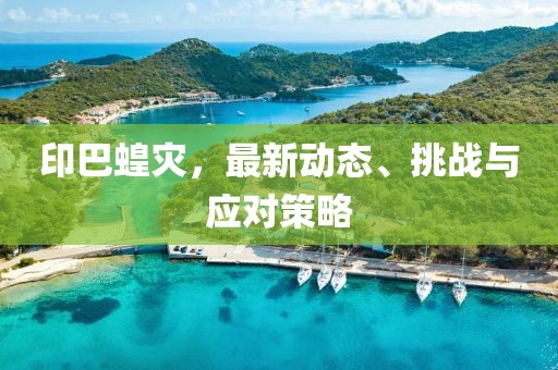 印巴蝗灾，最新动态、挑战与应对策略