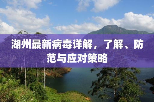 湖州最新病毒详解，了解、防范与应对策略