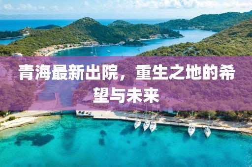 青海最新出院，重生之地的希望与未来