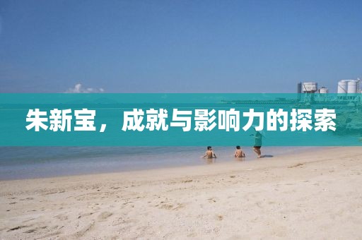 朱新宝，成就与影响力的探索