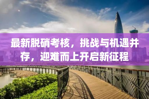 最新脱硝考核，挑战与机遇并存，迎难而上开启新征程