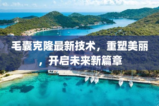 毛囊克隆最新技术，重塑美丽，开启未来新篇章