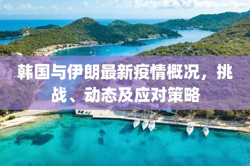 韩国与伊朗最新疫情概况，挑战、动态及应对策略