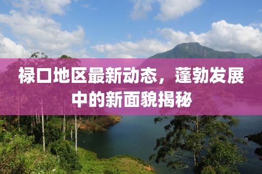 禄口地区最新动态，蓬勃发展中的新面貌揭秘