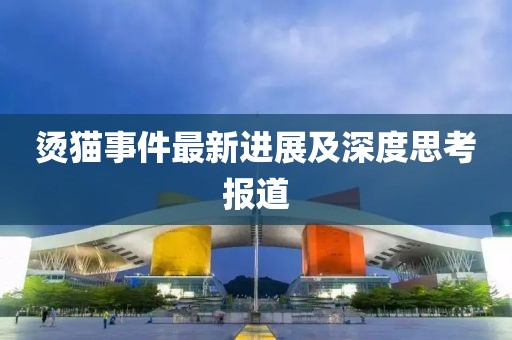 烫猫事件最新进展及深度思考报道