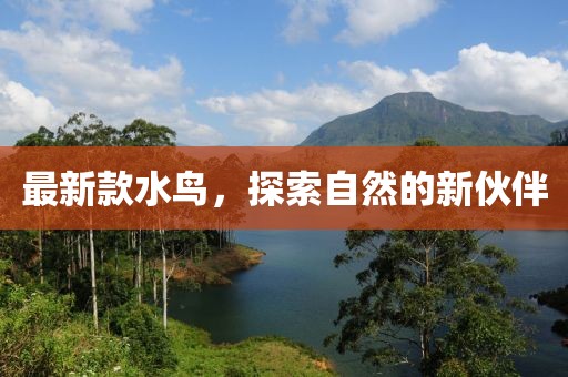 最新款水鸟，探索自然的新伙伴