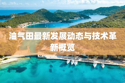 油气田最新发展动态与技术革新概览