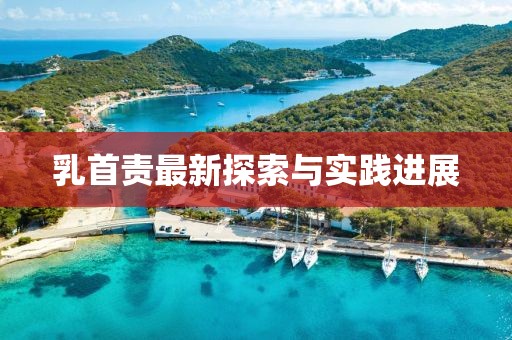 乳首责最新探索与实践进展