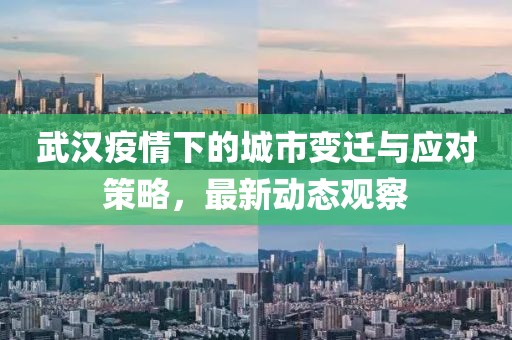 武汉疫情下的城市变迁与应对策略，最新动态观察