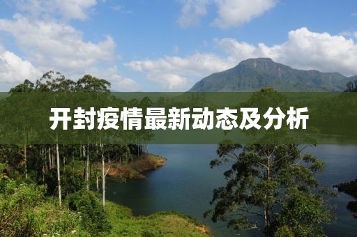 开封疫情最新动态及分析