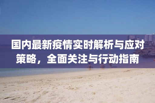 国内最新疫情实时解析与应对策略，全面关注与行动指南