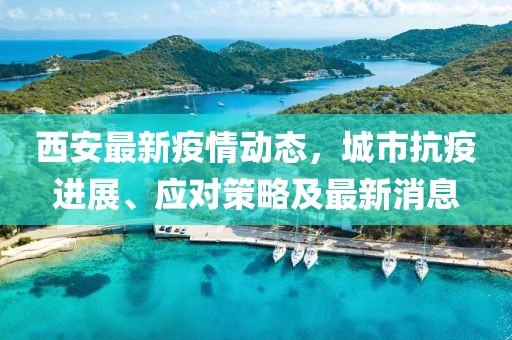 西安最新疫情动态，城市抗疫进展、应对策略及最新消息