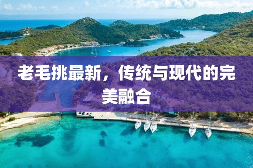 老毛挑最新，传统与现代的完美融合