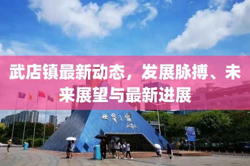 武店镇最新动态，发展脉搏、未来展望与最新进展