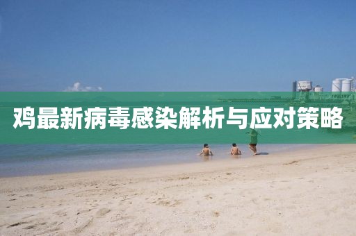 鸡最新病毒感染解析与应对策略