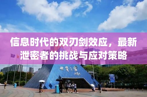 信息时代的双刃剑效应，最新泄密者的挑战与应对策略