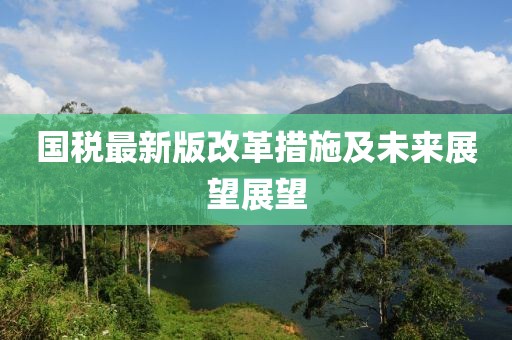 国税最新版改革措施及未来展望展望
