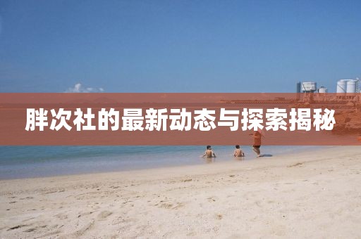 胖次社的最新动态与探索揭秘