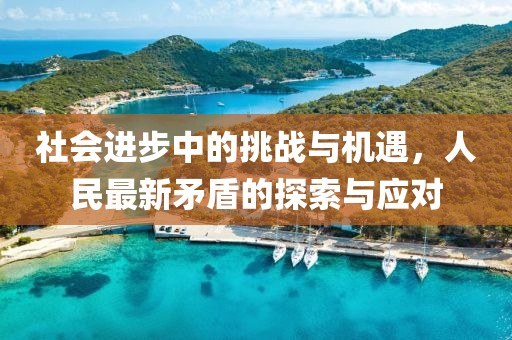 社会进步中的挑战与机遇，人民最新矛盾的探索与应对