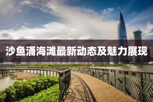 沙鱼涌海滩最新动态及魅力展现