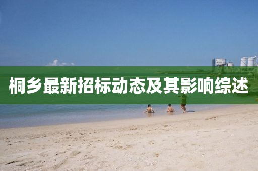 桐乡最新招标动态及其影响综述
