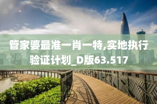 管家婆最准一肖一特,实地执行验证计划_D版63.517