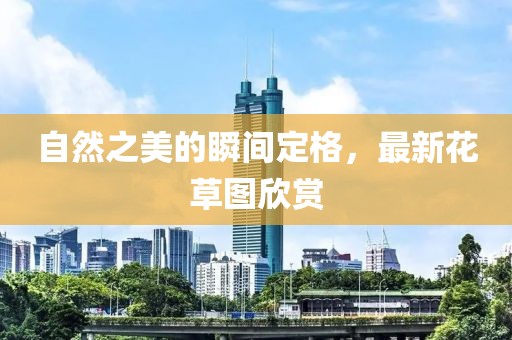 自然之美的瞬间定格，最新花草图欣赏