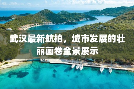 武汉最新航拍，城市发展的壮丽画卷全景展示