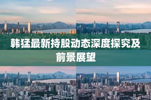 韩猛最新持股动态深度探究及前景展望