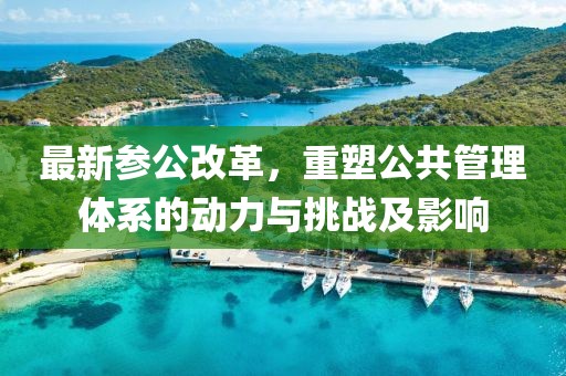 最新参公改革，重塑公共管理体系的动力与挑战及影响