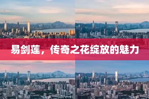 易剑莲，传奇之花绽放的魅力