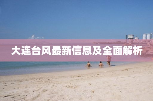 大连台风最新信息及全面解析