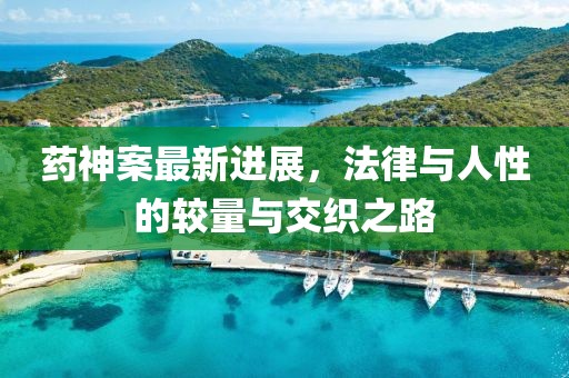 药神案最新进展，法律与人性的较量与交织之路