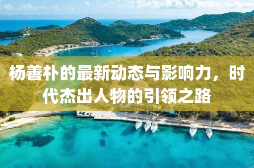 杨善朴的最新动态与影响力，时代杰出人物的引领之路