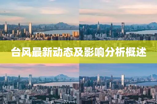台风最新动态及影响分析概述