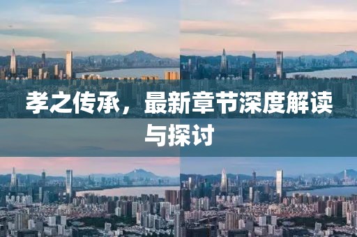 孝之传承，最新章节深度解读与探讨