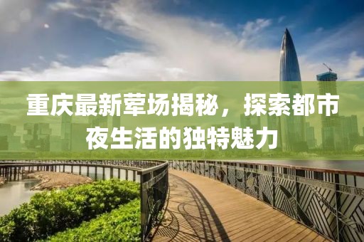 重庆最新荤场揭秘，探索都市夜生活的独特魅力