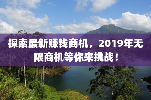 探索最新赚钱商机，2019年无限商机等你来挑战！